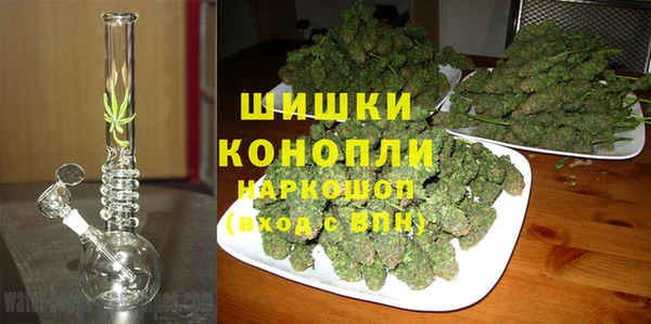 сатива Балабаново