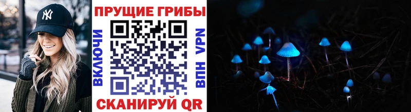 Галлюциногенные грибы Psilocybine cubensis  Бор 